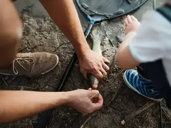 Professional service work by SnoFalls Plumbing LLC in Kent